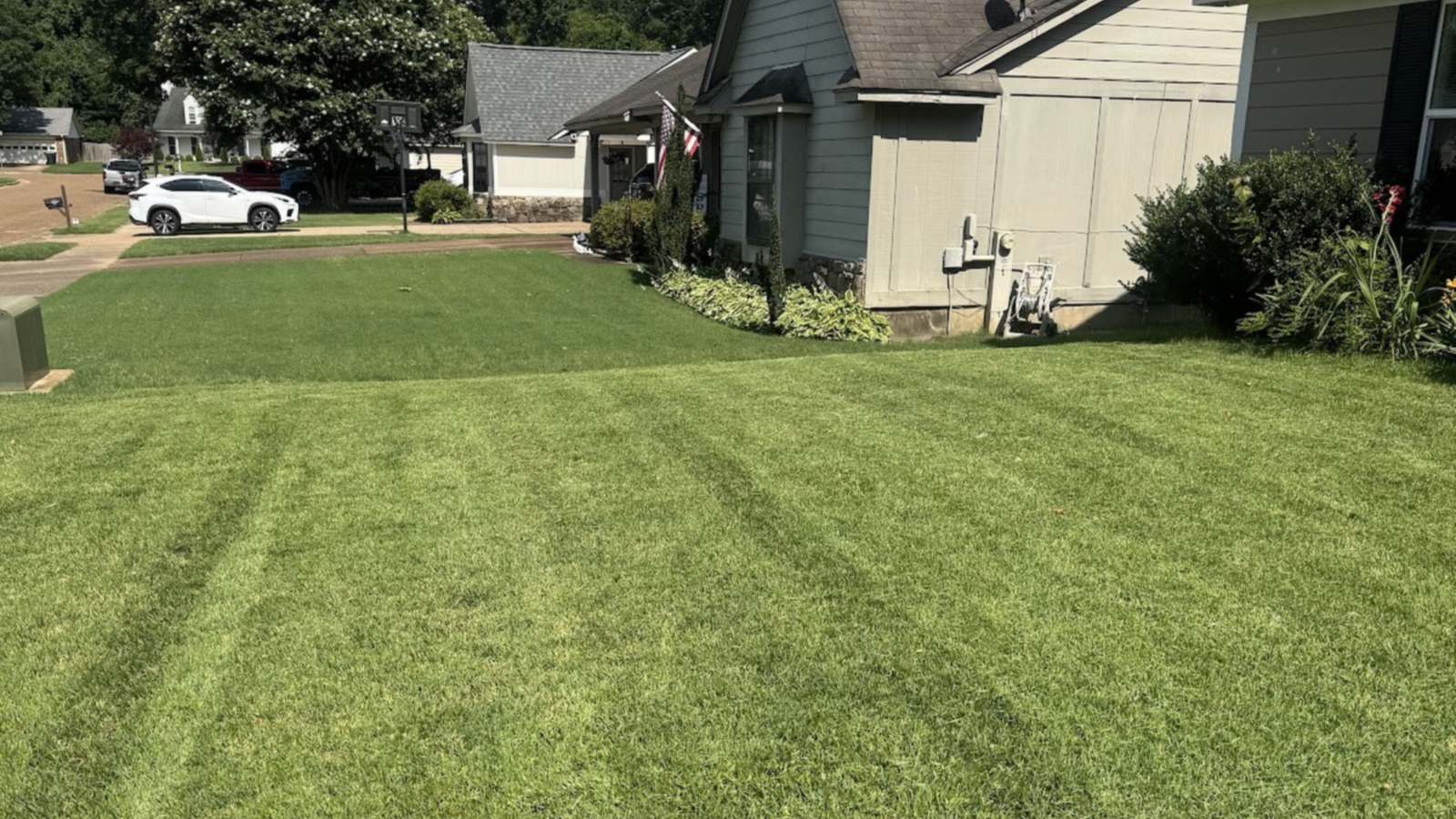 Freshly mowed front lawn in clean stripes running up to a neighborhood house with trimmed shrubs along the foundation.