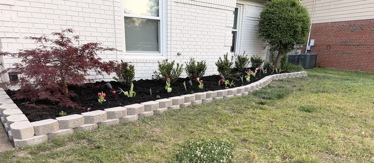 Mulched flower bed edged in stacked block with a red Japanese maple and tulips beside a white brick house.
