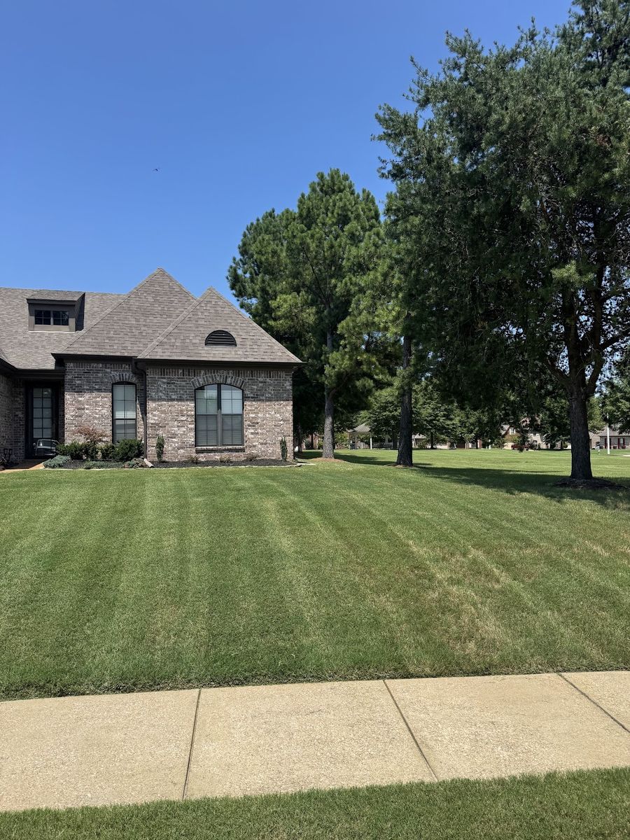 Striped front lawn of a brick home running to a sidewalk.